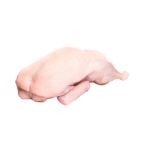 Duck 1,1 KG - 1,4 KG