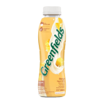 Mango Yogurt Drink