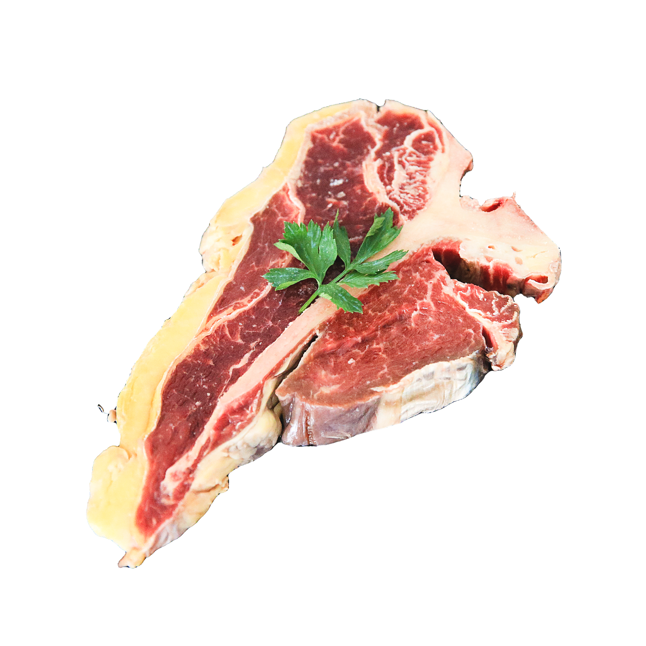 T-Bone Steak