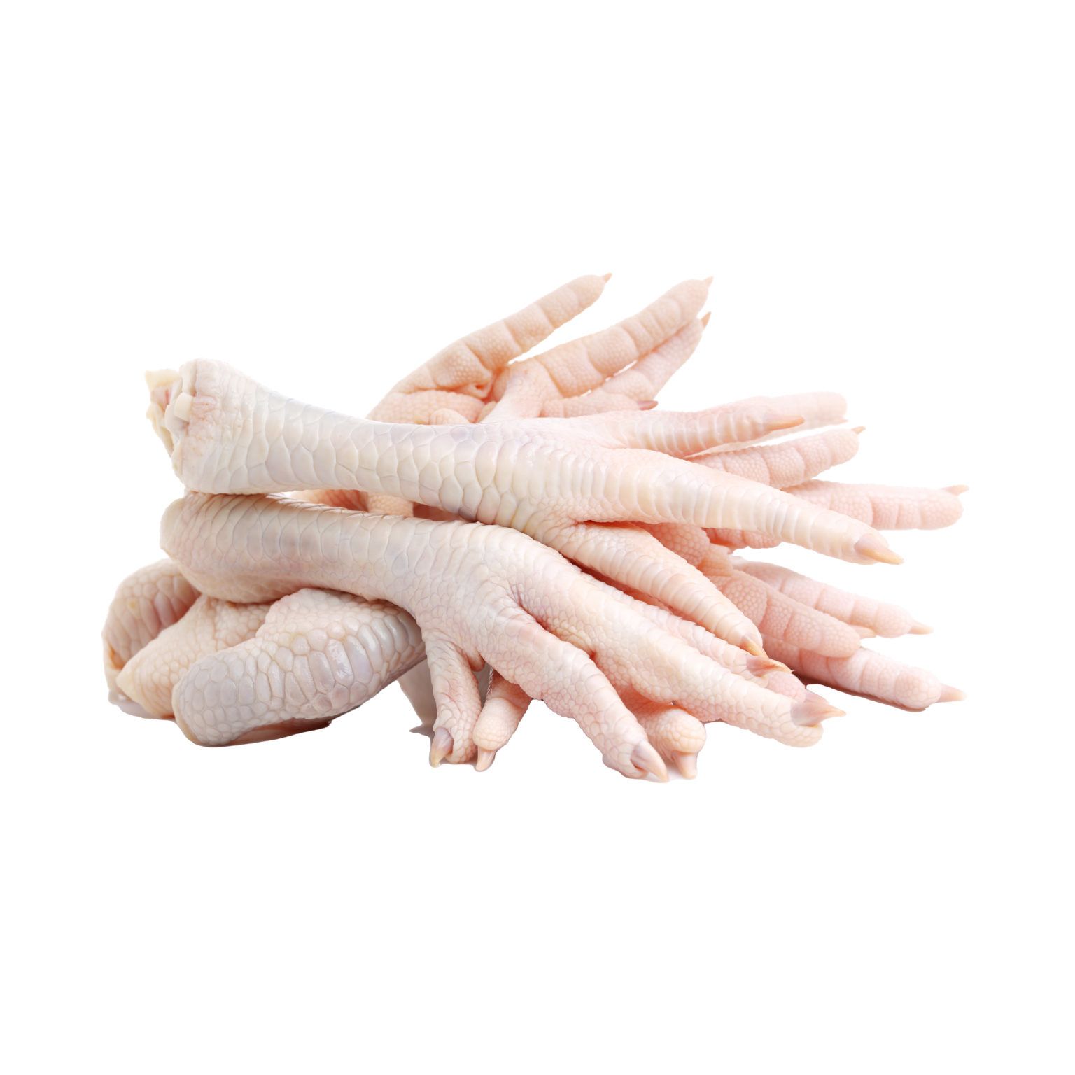 chicken-feet-martindo