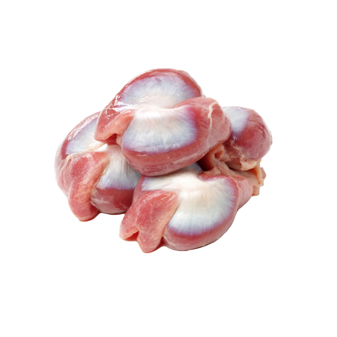 Chicken Gizzard (Ampela Ayam) Martindo