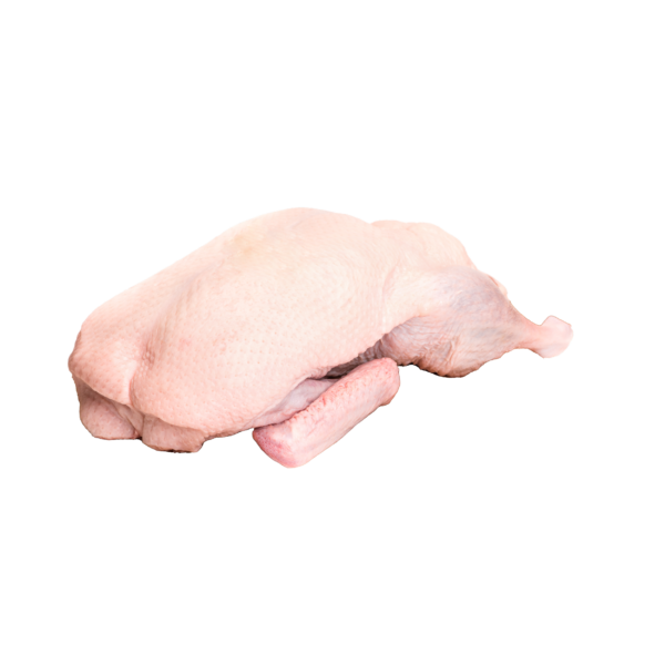 Duck 1,1 KG - 1,4 KG