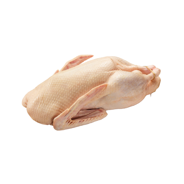 Duck 12,9 KG