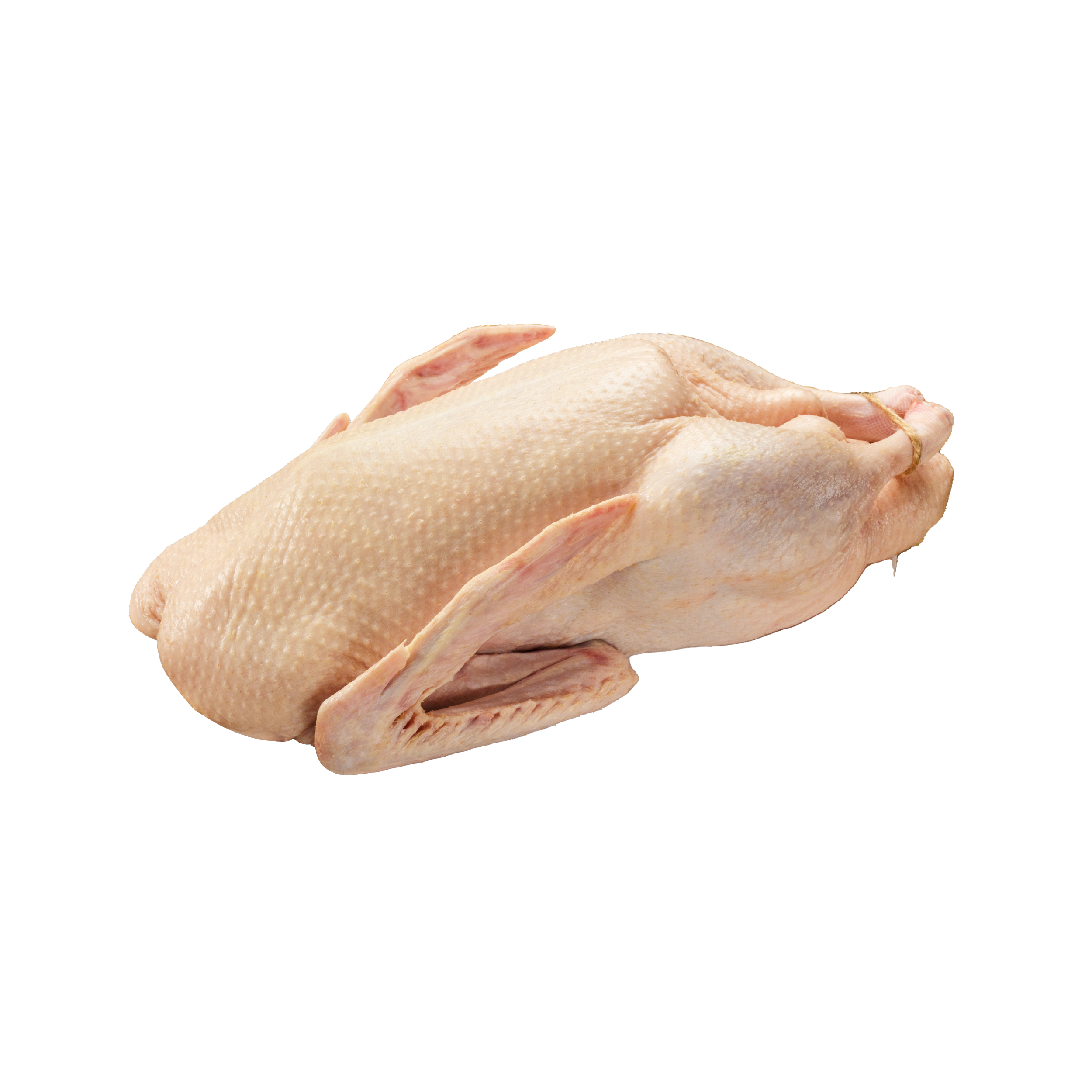 Duck 12,9 KG